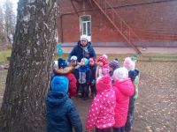 знакомство с березкой