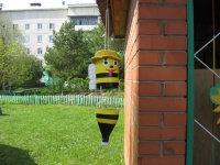 Участок летом