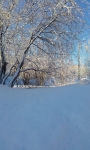 Березуцкая Наталья “Родной край.Мурманск.Май в разгаре.”