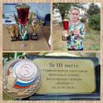 Районный туристический слет