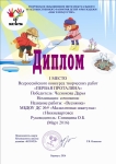 Диплом. Чеснокова Дарья