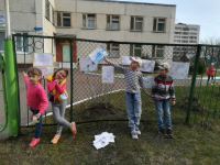 акции по ПДД