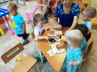 2019г. 3 яс.гр. коллективная работа "Красивая кошечка""