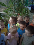 -воспитывать у детей эмоциональный настрой