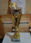 3.3. Результаты участия в профессиональных конкурсах