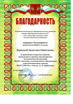 Благодарность за проведение открытого занятия, проведенного в рамках методических объединений 2019 г