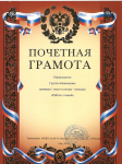 Почетная грамота за 1 место группа "Неваляшка" в смотре конкурсе "Работа с семьей" МБДОУ д/с №10