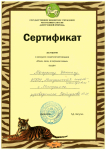 сертификат участника