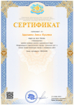 Член жюри  в Международном педагогическом портале "Солнечный свет"
