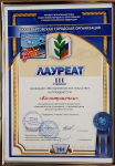 Городской фестиваль "Крыль вдохновения"