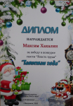 Диплом (городской конкурс)