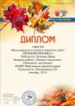 Диплом Международного конкурса творческих работ 