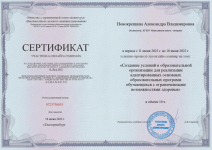 Сертификат участника всероссийского семинара «Создание условии в образовательной организаций для реализации адаптированных основных образовательных программ обучающих с ограниченными возможностями здоровья» 10часов