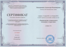 Сертификат участника всероссийского семинара «Профилактика суицидального поведения у подростков» 14 часов
