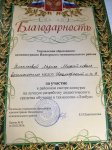 Приняла участие в районном смотре-конкурсе на лучшую разработку дидактического средства обучения в технологии "Лэпбук"