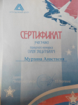 Сертификат участника городского конкурса 