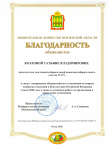 Благодарность Председателя Избирательной комиссии Пензенской области