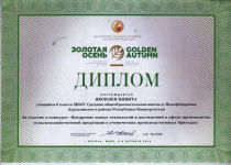 диплом Яковлева Никиты