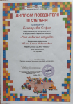 Диплом победителя  3 степени