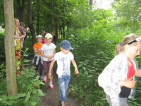 В поисках сокровищ