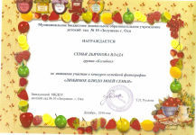 Диплом семья Дьячкова Влада за активное участие в конкурсе "Любимое блюдо моей семьи" декабрь 2016 г.