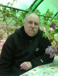 Экскурсовод
