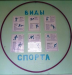 виды спорта