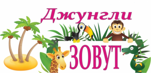 Спортивный досуг