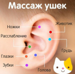 Аурикуломассаж - самомассаж ушных раковин