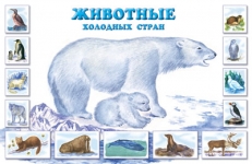 Развитие речи. Развивающие задания по лексической теме