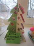 Семья Новиковой Софьи