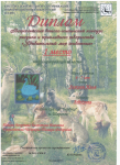 Диплом 1 место по Ниж.об.-.Всероссийский  детско – юношеский конкурс рисунка и прикладного творчества «Удивительный мир животных» август 2017г.
