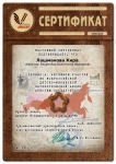 Сертификат - участника Всероссийской детско-юношеской  патриотической акции «Рисуем Победу – 2020» - Май 2020 г.