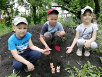 помощь лисятам