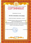 вернисаж . сертификат участника