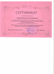 Сертификат за представление опыта работы 2015г в рамках районного методического объединения