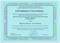 Сертификат районного объединения по предоставлению опыта работы, 2015г
