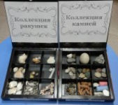 Коллекции камней и ракушек