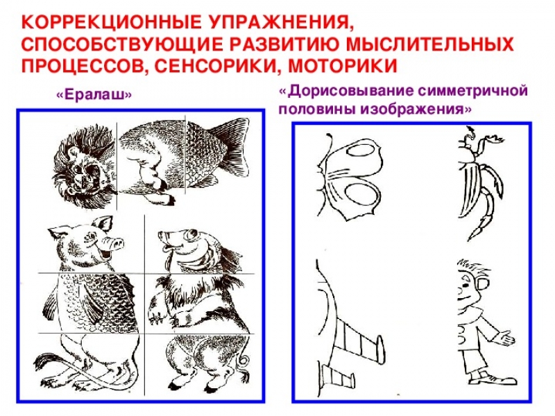 Проект конспекта занятия нацеленного на развитие познавательных процессов дошкольников с овз