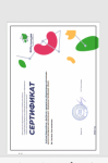 Сертификат участника Всероссийского «Дня Эколят» в дошкольных образовательных организациях