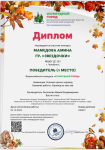 Диплом участника конкурса за первое место в номинации 