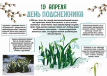 Ежегодно 19 апреля во многих странах мира отмечается красивый весенний праздник — День подснежника. Свою историю он ведет из Англии, где был учрежден в 1984 году.