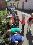 с 13.07 по 17.07.2020 в нашей группе проходила цветочная неделя. Воспитатель совместно с воспитанниками 2 младшей группы ходили на экскурсию.