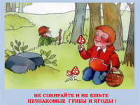 «Внимание! Грибы!»
