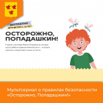 Осторожно, Попадашкин!