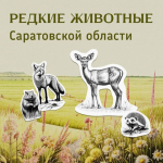 Редкие животные  Саратовской области
