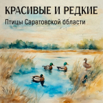 Редкие птицы Саратовской области