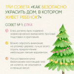 Какую выбрать ёлку для дома? - рекомендации родителям (декабрь 2024г.)