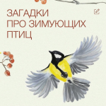 Время отгадывать загадки