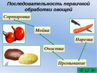 Механическая кулинарная обработка овощей и фруктов.